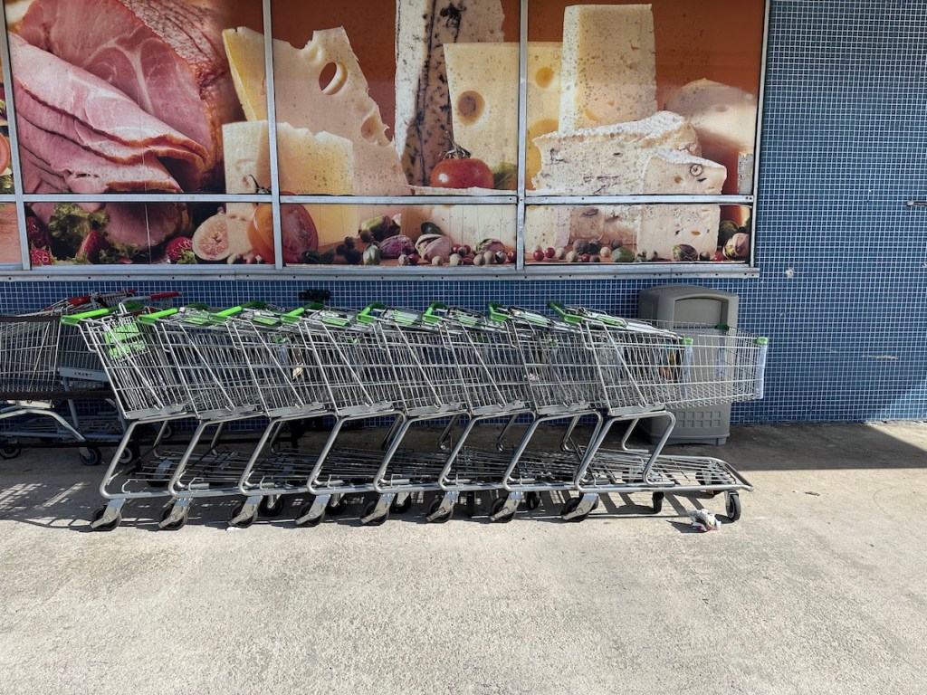 Publix shopping carts