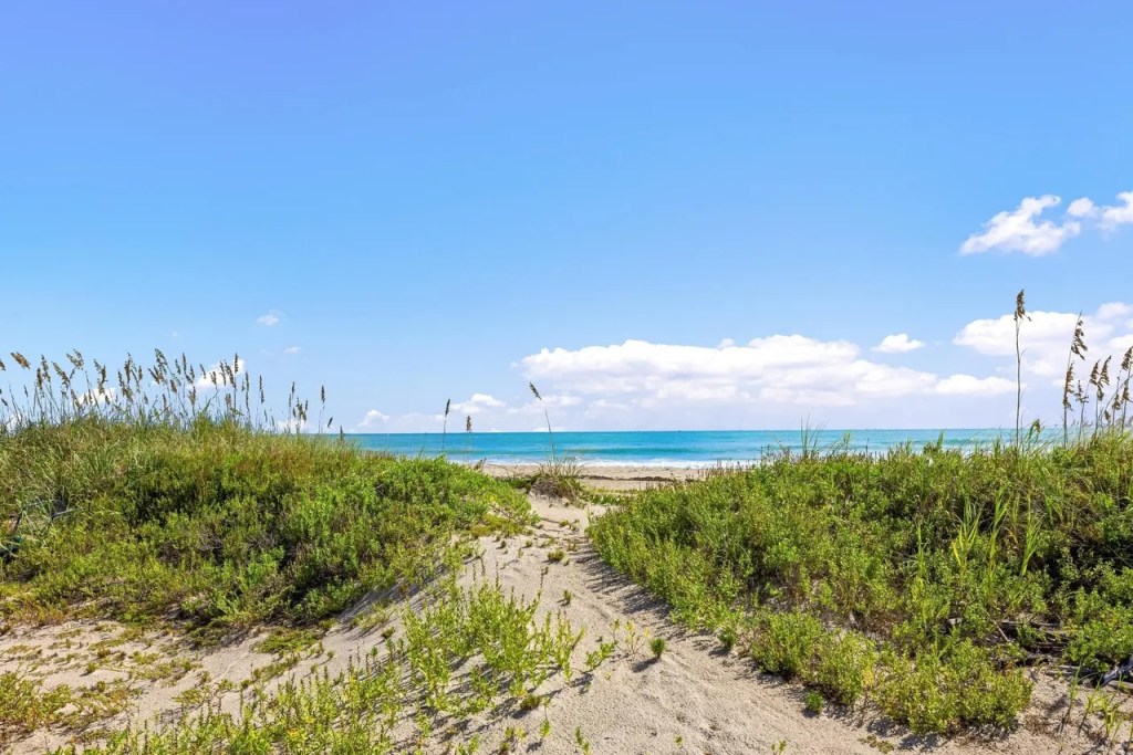 a grass-covered dune lies before the blue waters of the Atlantic Ocean