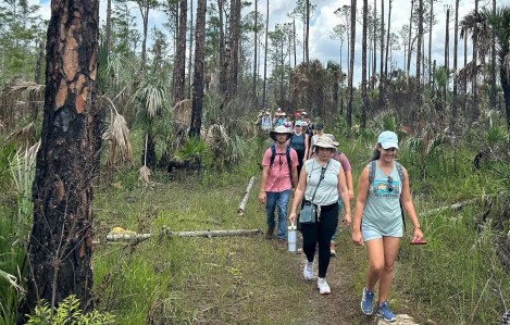The 10 Best Hikes in Miami
