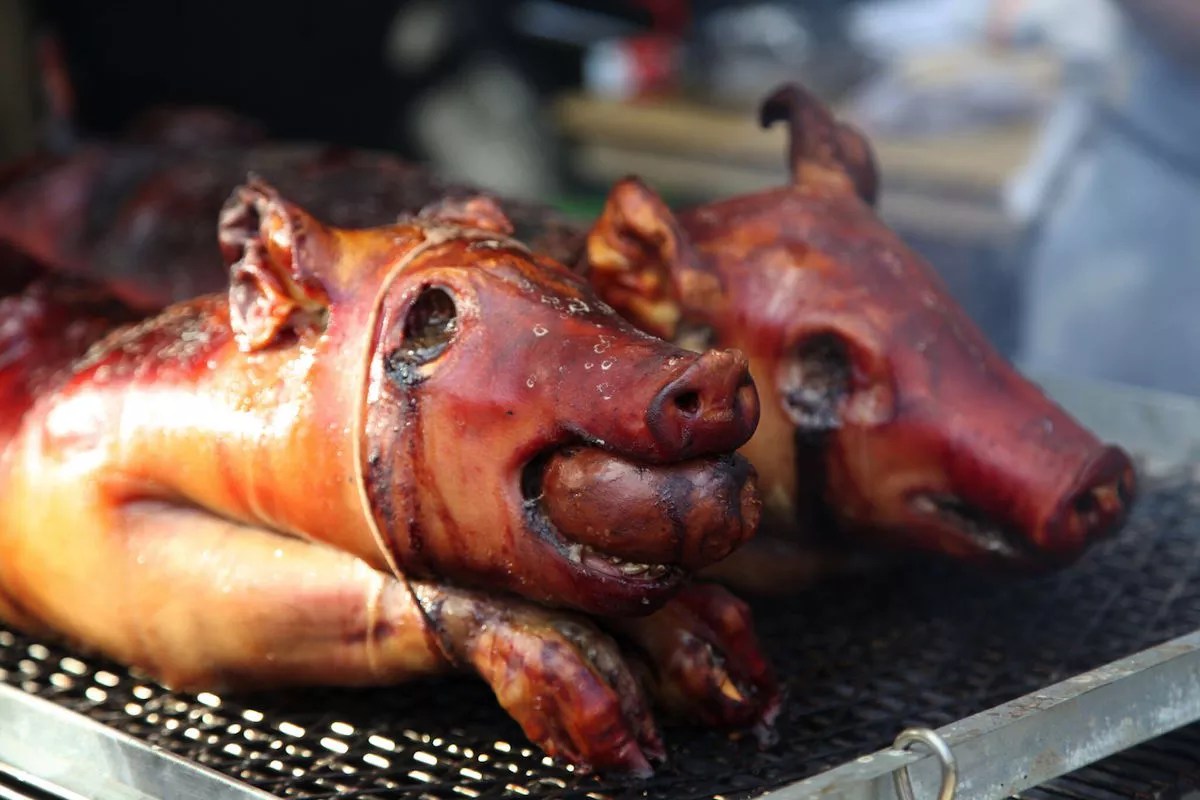 Jeremiah Bullfrog’s Pork Festival P.I.G. 8 Returns November 18