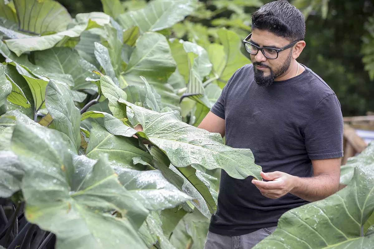 Miami Chefs and Restaurants Join the Paid Influencer Ecosystem