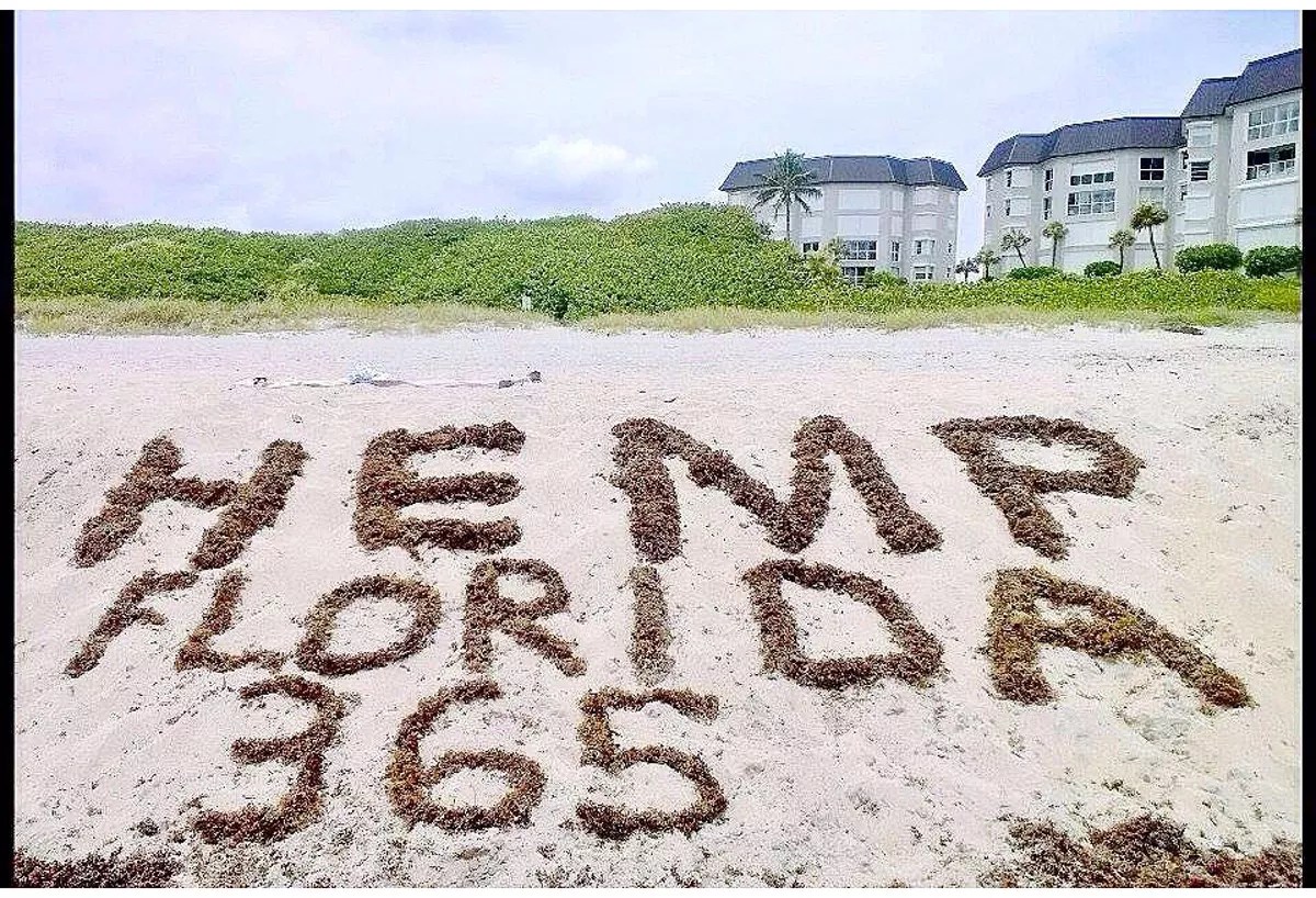 Hemptopia Hopes to Educate Miami on the Health Benefits and Everyday Uses of Hemp