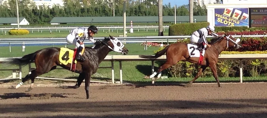 The Pegasus World Cup Is the Perfect Race for Donald Trump’s America