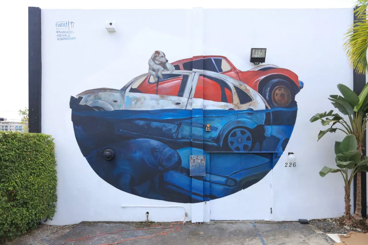 Saltmates Social App Unites Ocean Lovers for Fun and Philanthropy