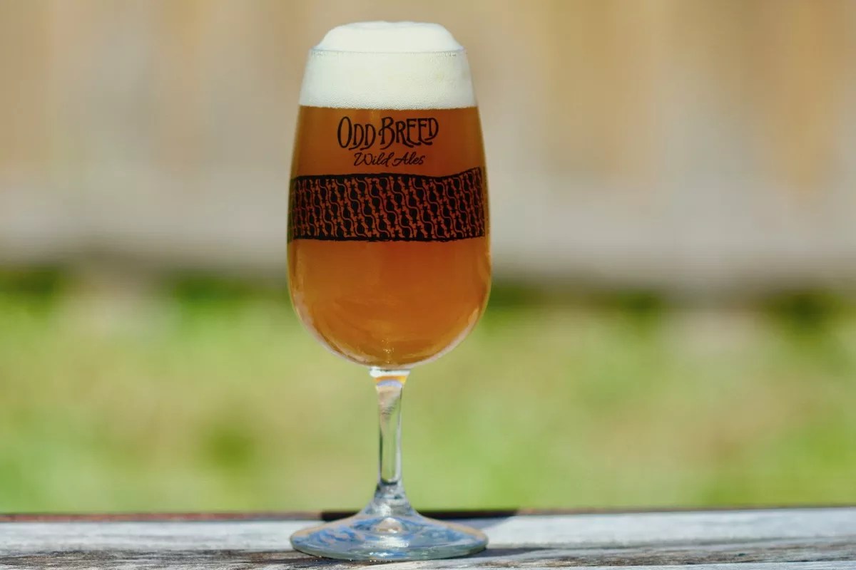 Odd Breed Wild Ales to Open This Summer With Online Bottle-Release Sales