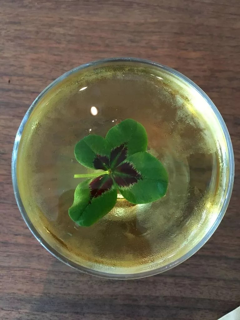 Eight Things to Drink on St. Patrick’s Day That Aren’t Green Beer
