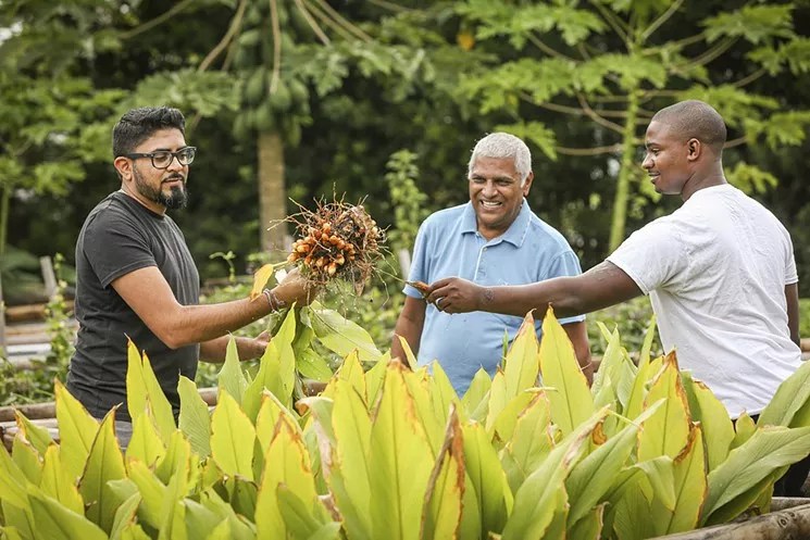 Ghee Indian Kitchen Opens in Downtown Dadeland