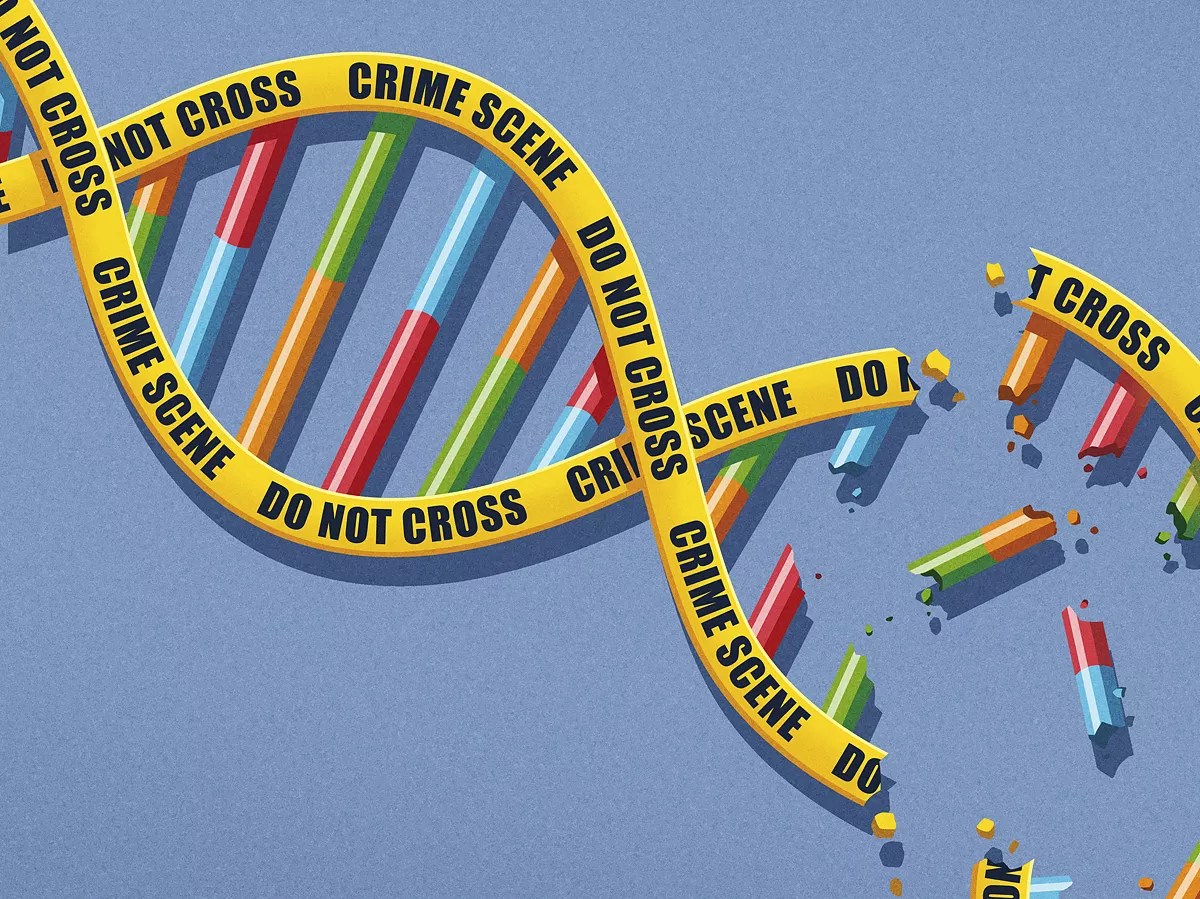 Hundreds of Broward Cases in Doubt Over DNA Testing Problems, Expert’s Suspension for Sexism, Racism