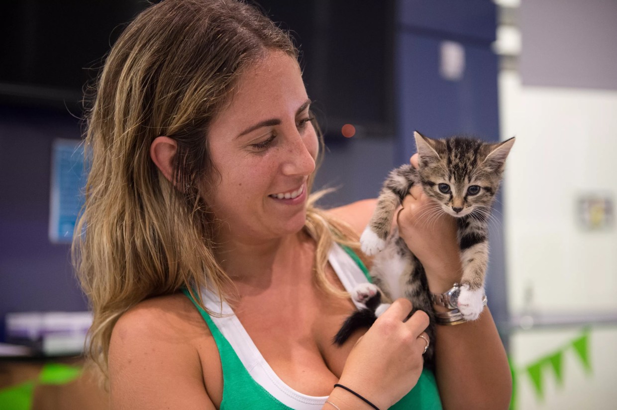 Meowmaste: Yoga Class With Kittens at Miami-Dade Animal Services