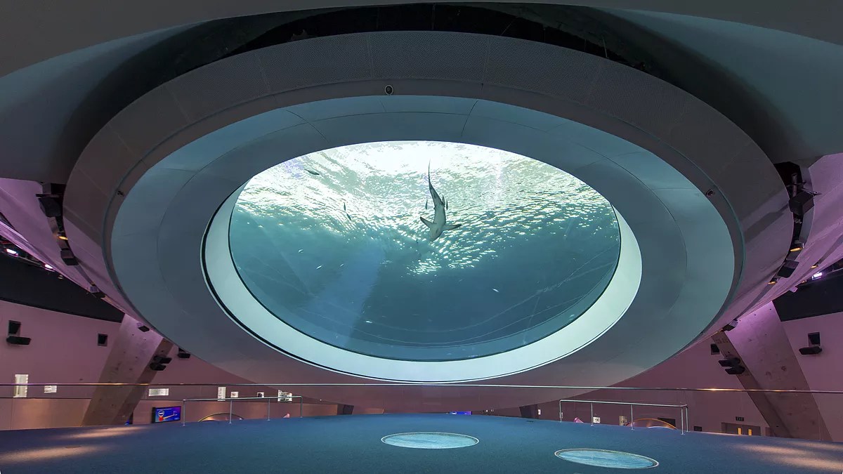 The 21 Best Things to Do in Miami This Week