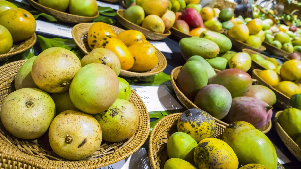 Fairchild’s Mango Festival Celebrates Its 25th Anniversary With a Wild-to-Table Theme