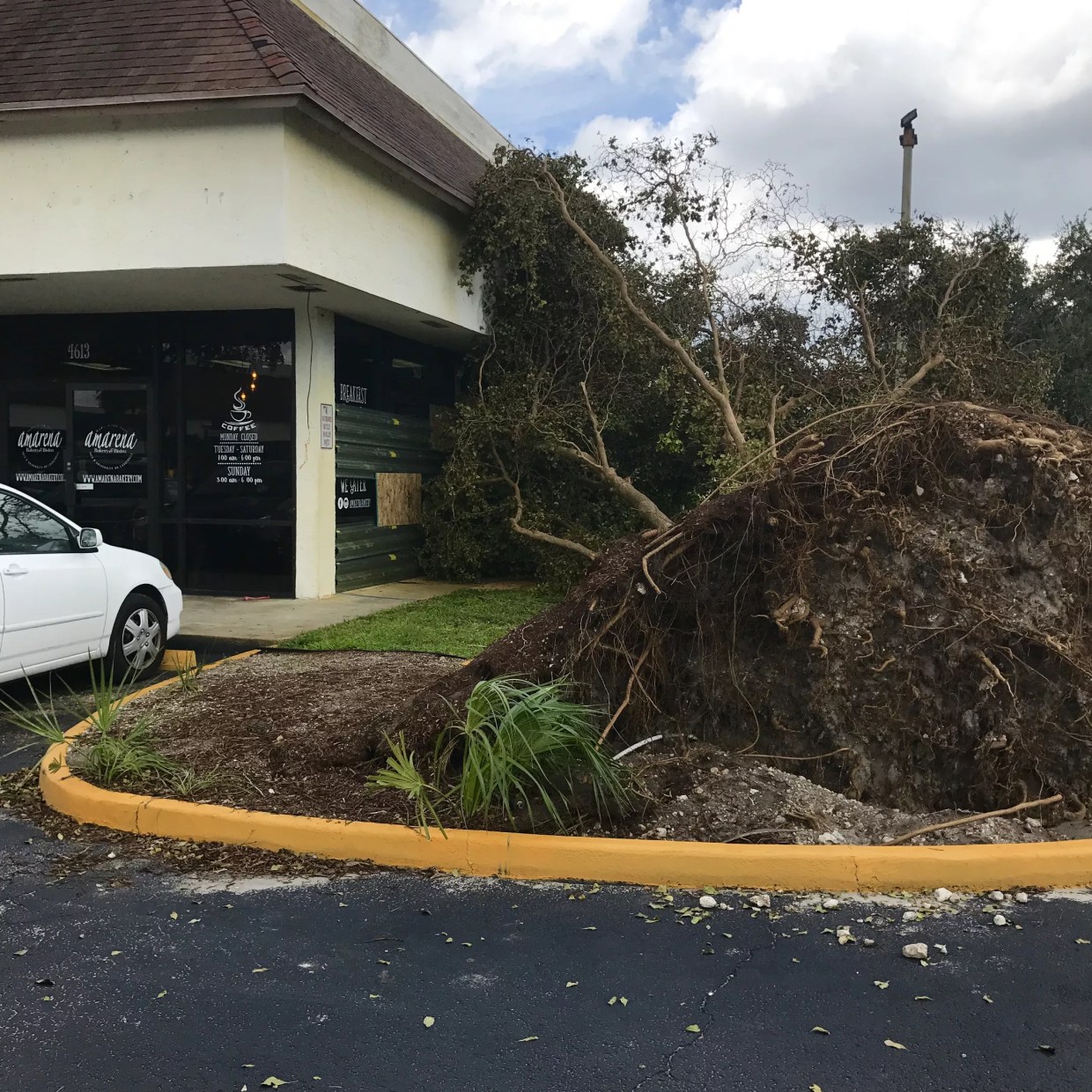 Plywood Stolen off Amarena Bakery’s Windows Before Hurricane Irma, and Strangers Rush to Help