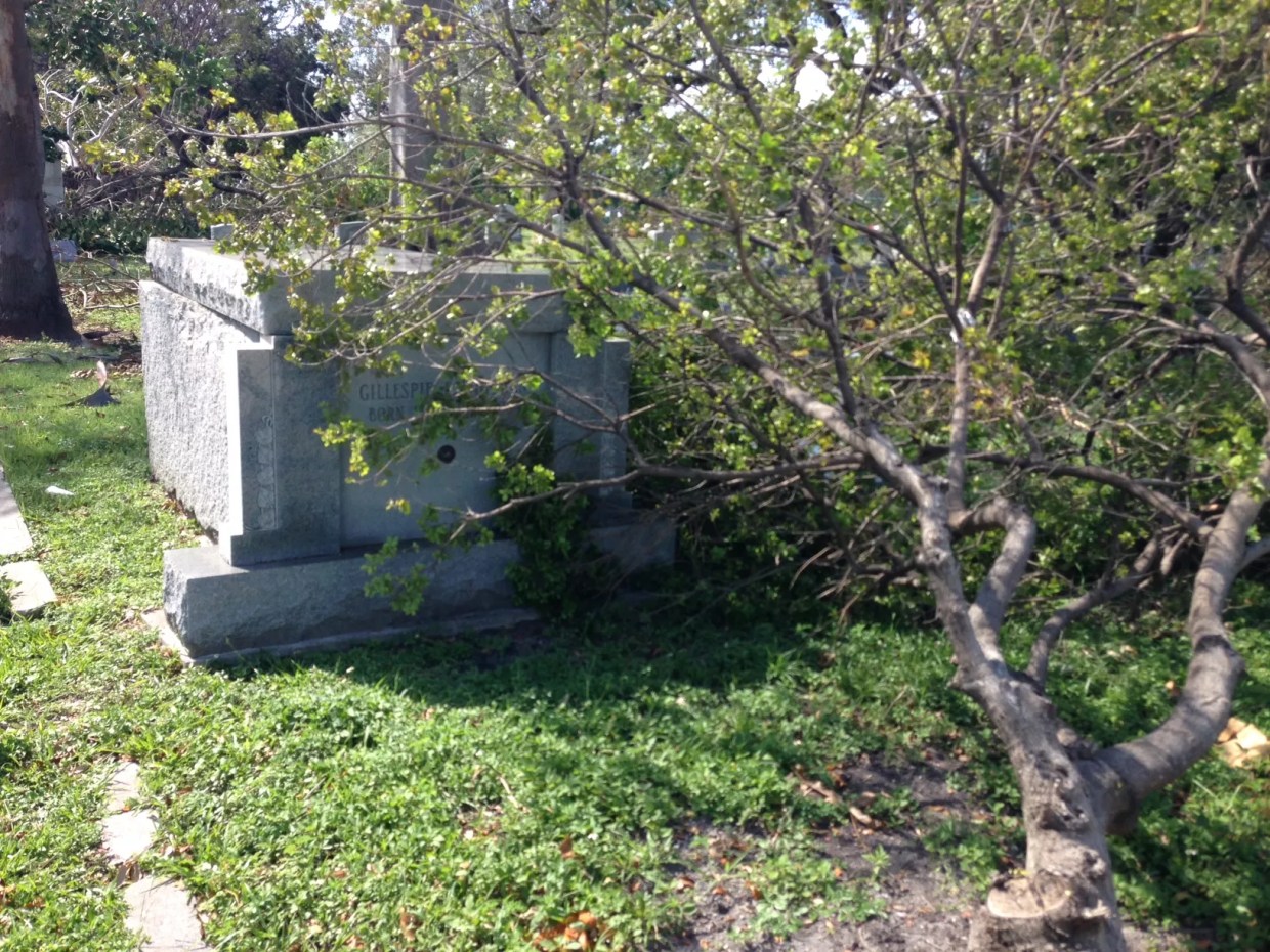 Historic Miami City Cemetery Hit Hard by Hurricane Irma