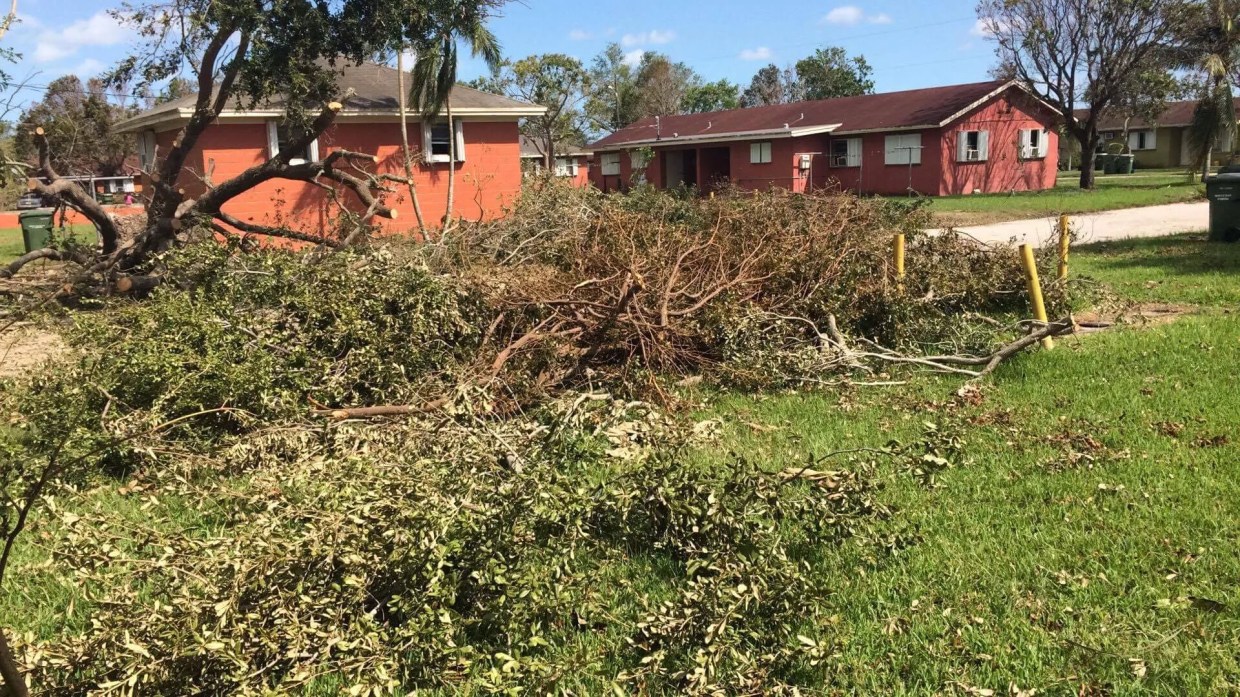 Homestead Migrant Farm Workers Neglected After Irma Until Activists Raise Alarm