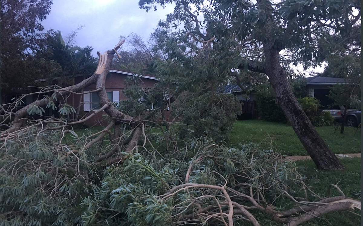 Miami Digs Out After Hurricane Irma Pummels South Florida