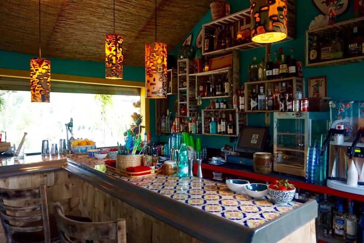 Shaking for Puerto Rico at the Anderson Helps the Island for the Holidays