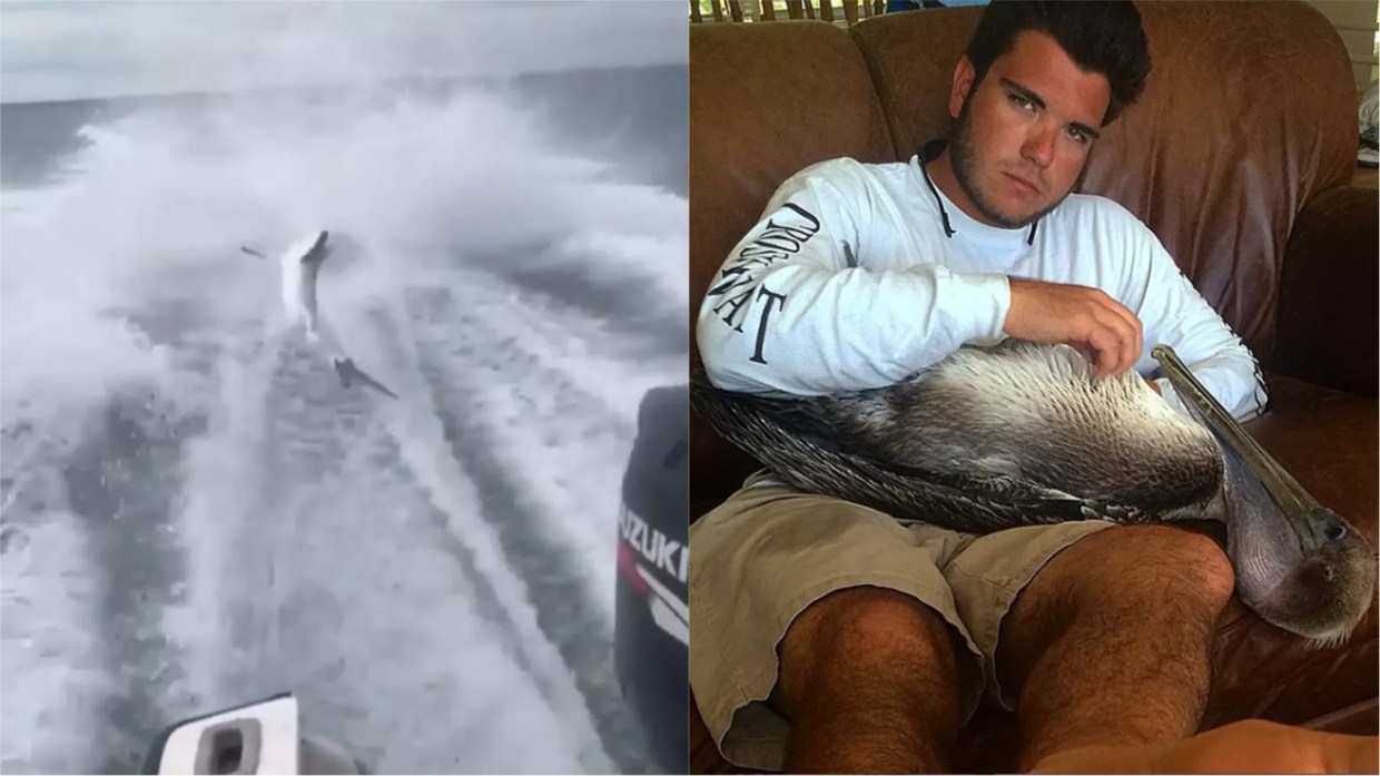 Florida Men Who Filmed Themselves Abusing Sharks Finally Charged With Crimes