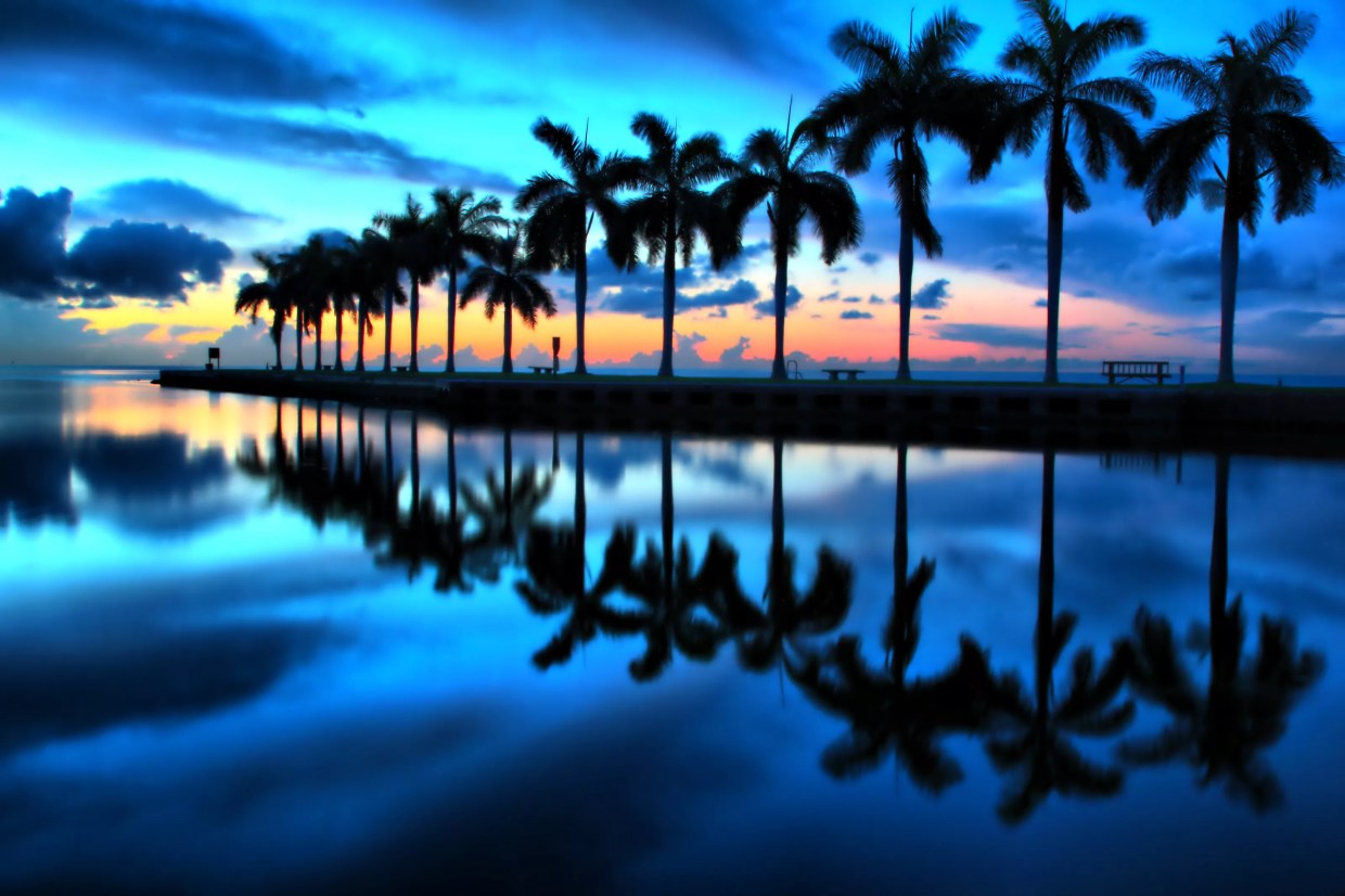 These Are the Best Outdoor Spots in Miami, Says Best of Miami 2020