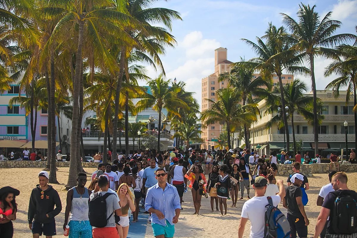 Organizer Steve Sybesma on His Aim for Miami Beach Pop Festival