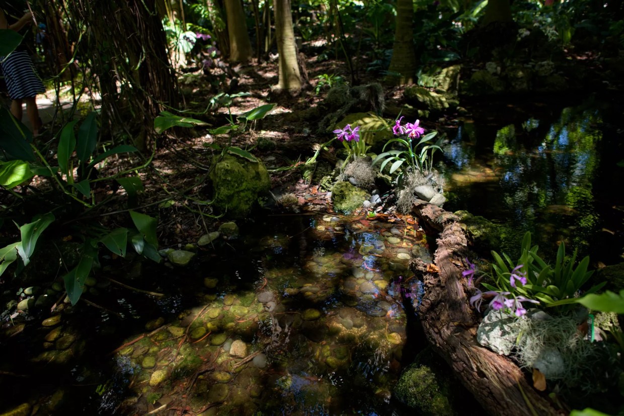 The Ten Best Outdoor Activities in Miami