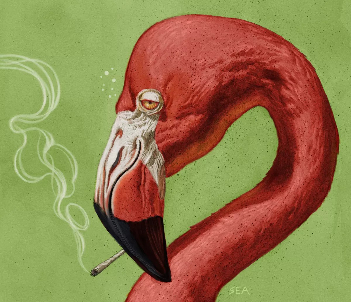 Recreational Weed Would Pump $190 Million Into Florida’s Economy, Report Says