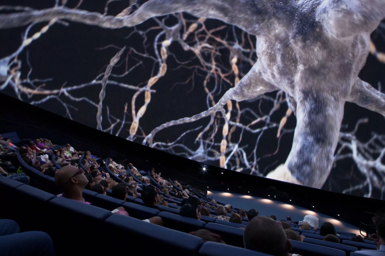 Frost Museum of Science Will Give Away 100 Family Memberships on Its First Anniversary