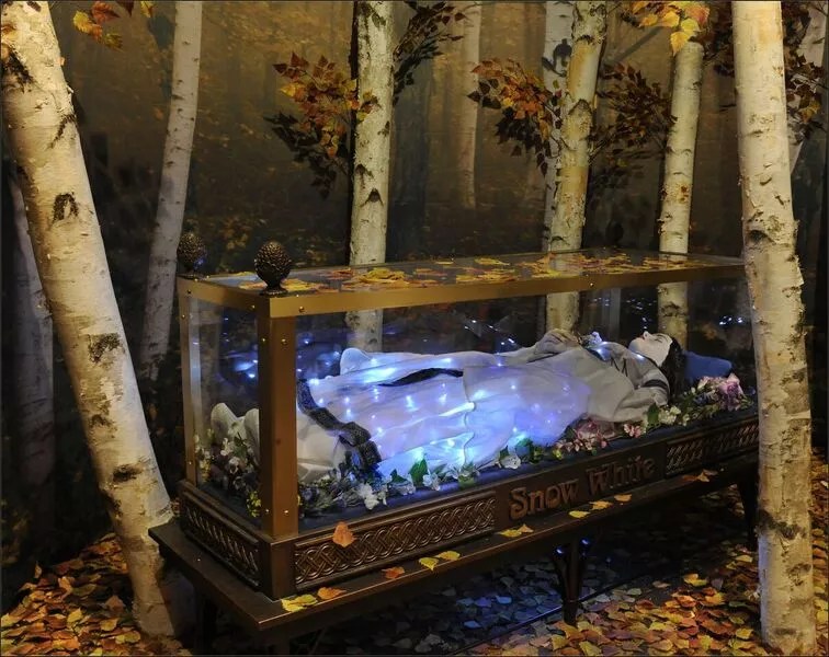 “The Power of Poison” at Frost Science Reveals Florida’s Deadliest Substances