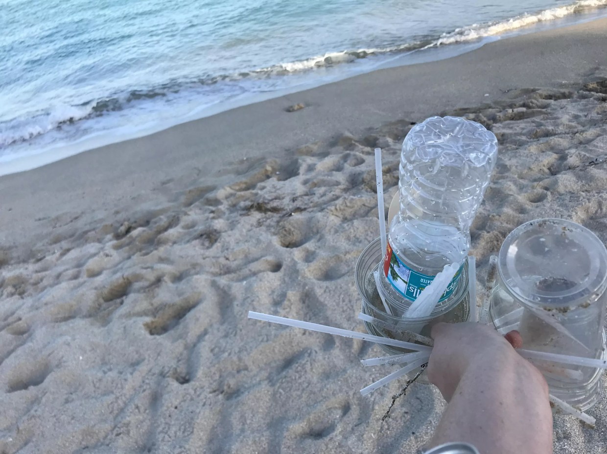 Surfside Bans Plastic Straws as Activists Take Aim at Miami Beach