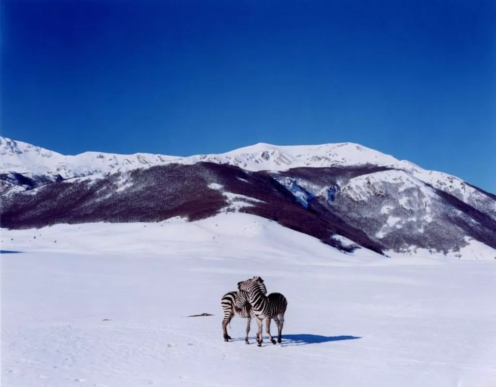 The Best Arts Events of Miami’s 2018-19 Season