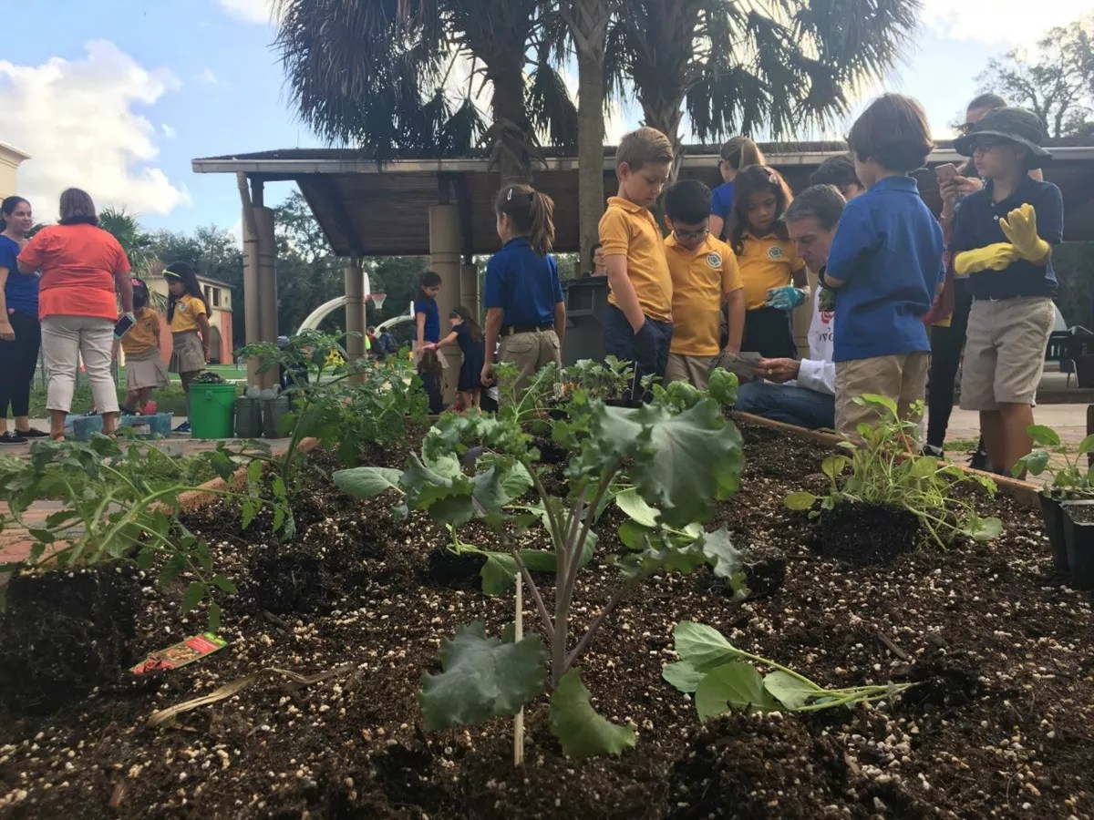 Here Are the Food-Related Organizations to Support on Give Miami Day