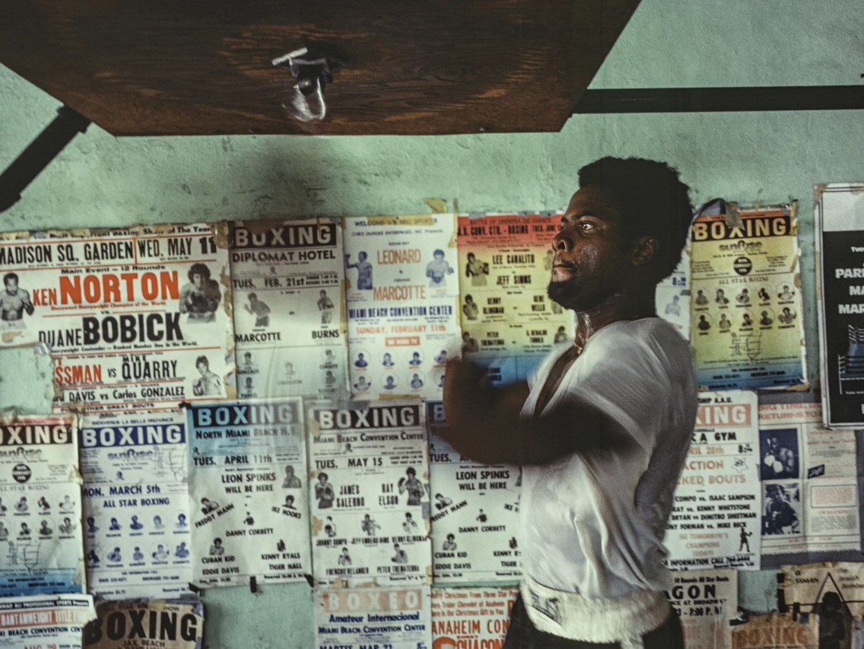 The 21 Best Things to Do in Miami This Week