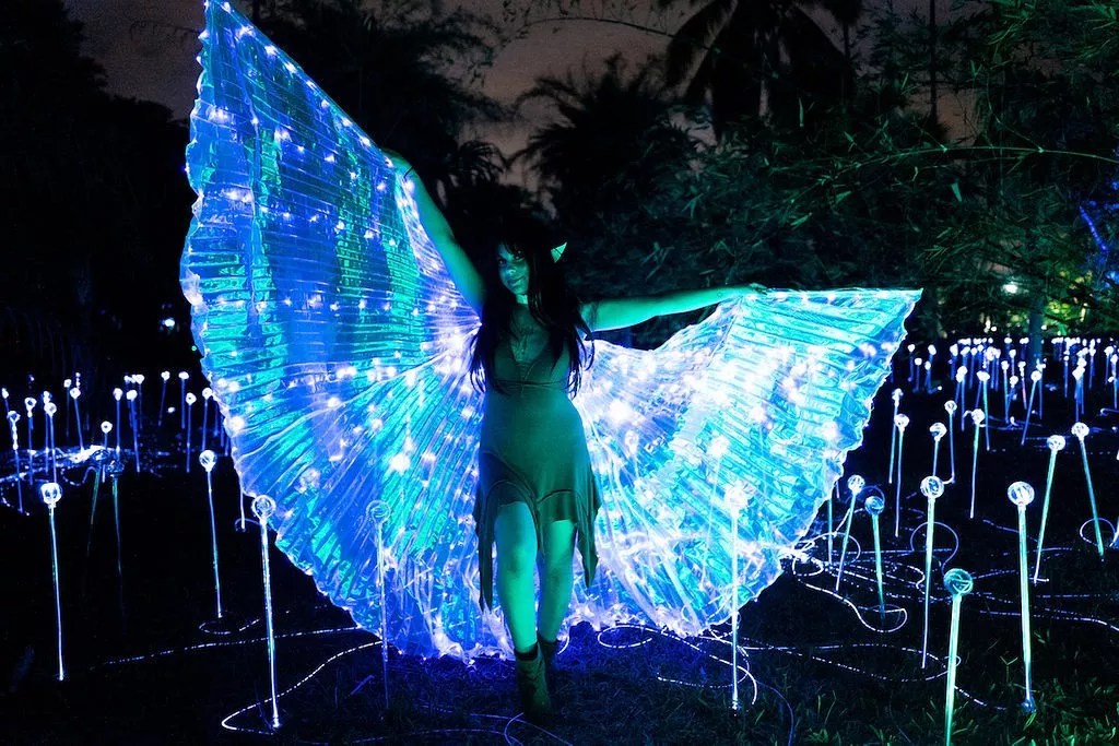 Ten Things to Do With Kids in Miami This Month