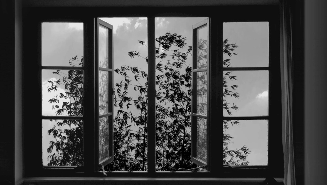The Late, Great Kiarostami’s <i>24 Frames</i> Invites Us to Gaze Along With a Master
