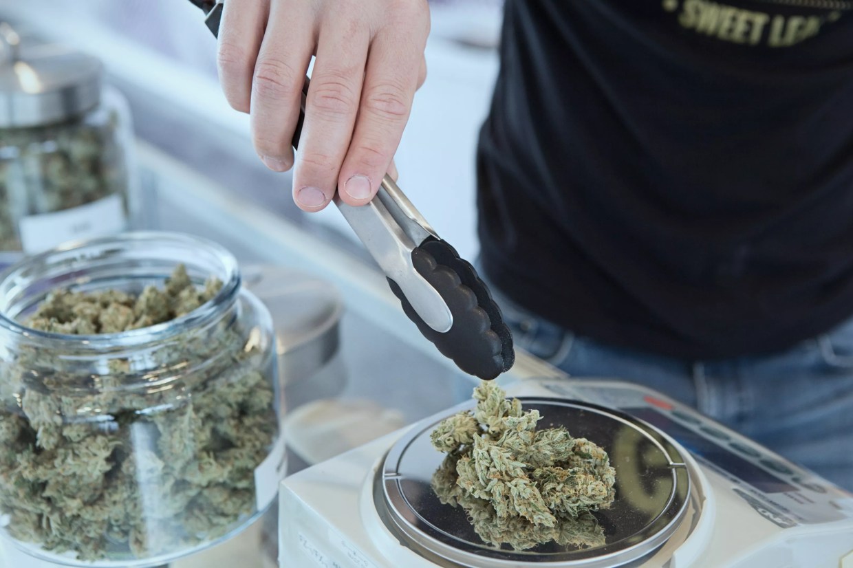 Florida Marijuana Sales Skyrocket Even as Economy Collapses