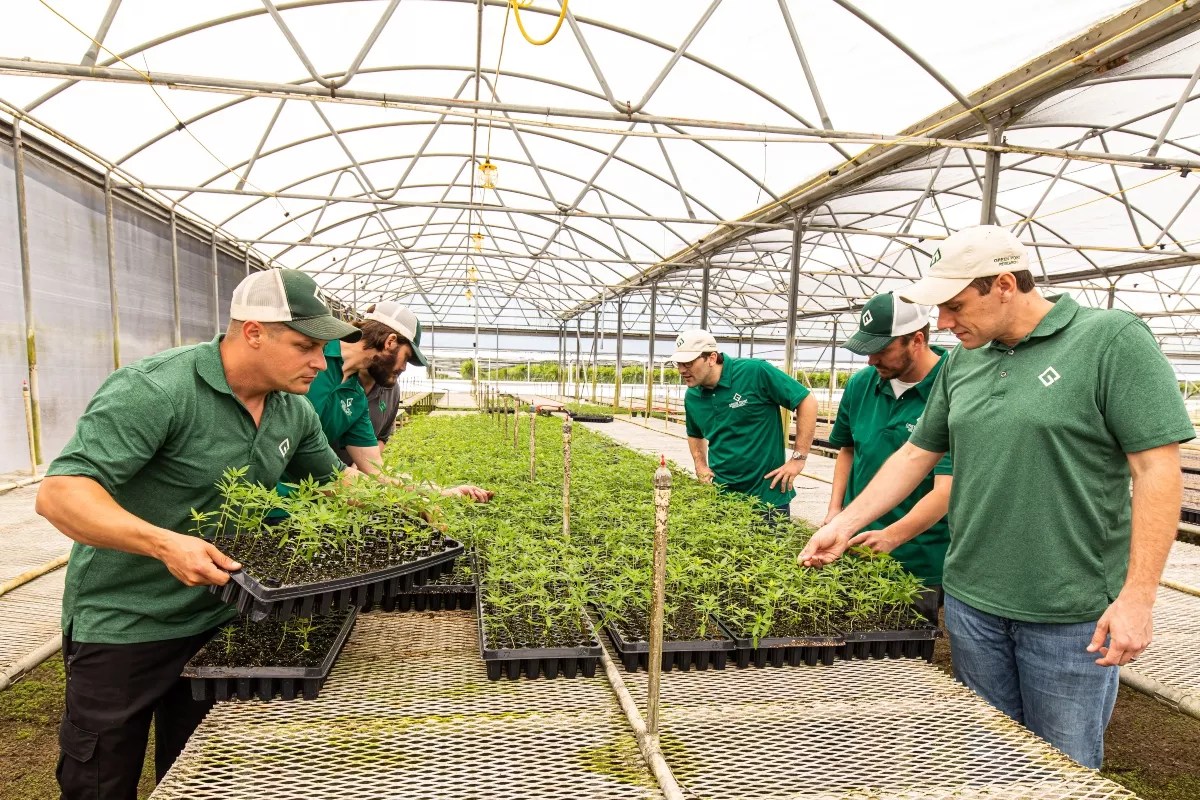 During COVID-19 Crisis, Hemp Could See Resurgence as America’s Best Wartime Crop