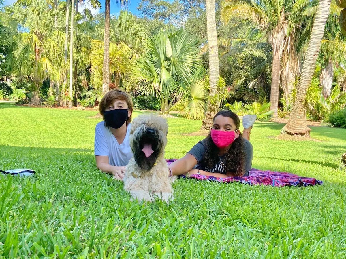 The 12 Best Things to Do in Miami This Week