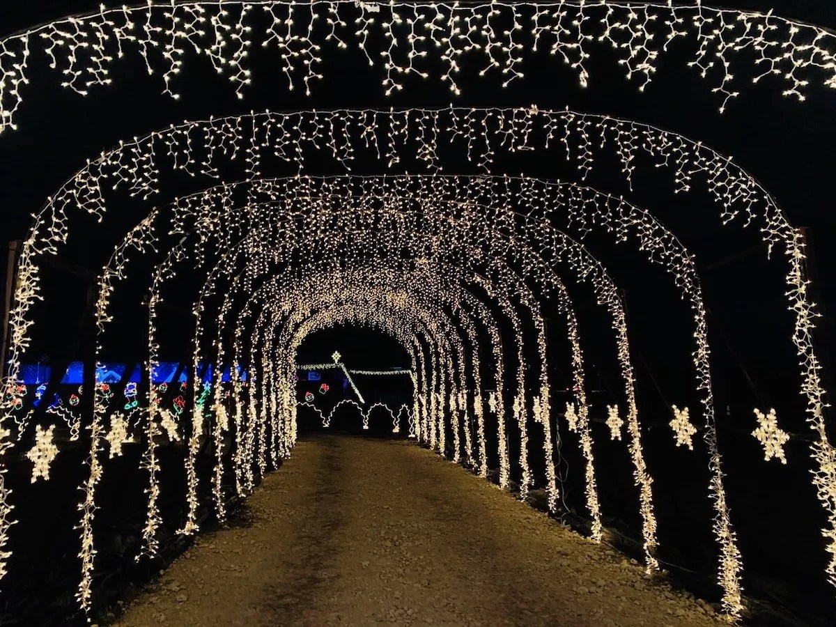 The 12 Best Things to Do in Miami This Week