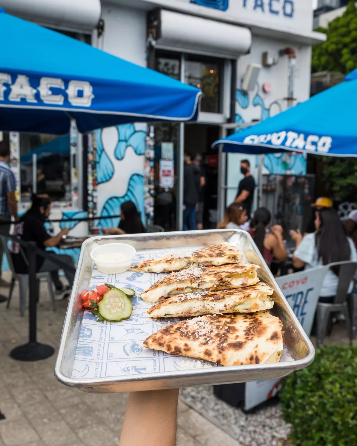 305 Day Specials, Flavors of Miami, and Other Events in Miami This Weekend