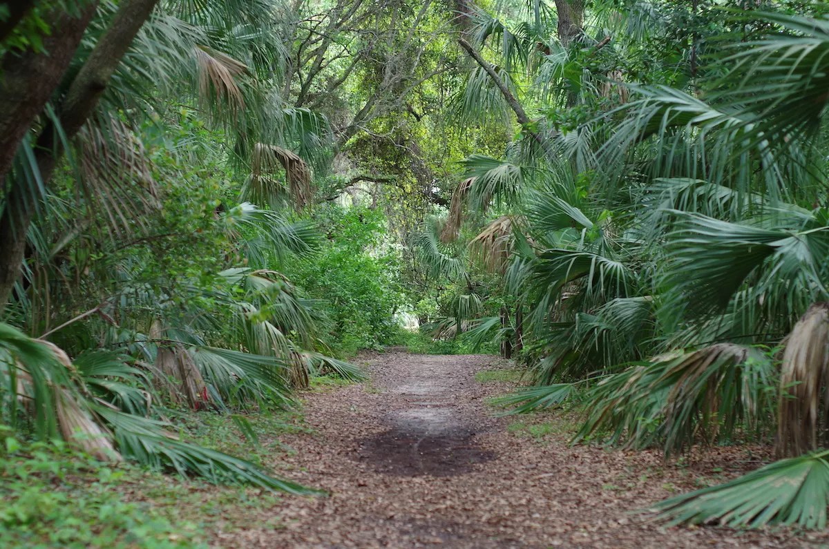 The Ten Best Parks in Miami