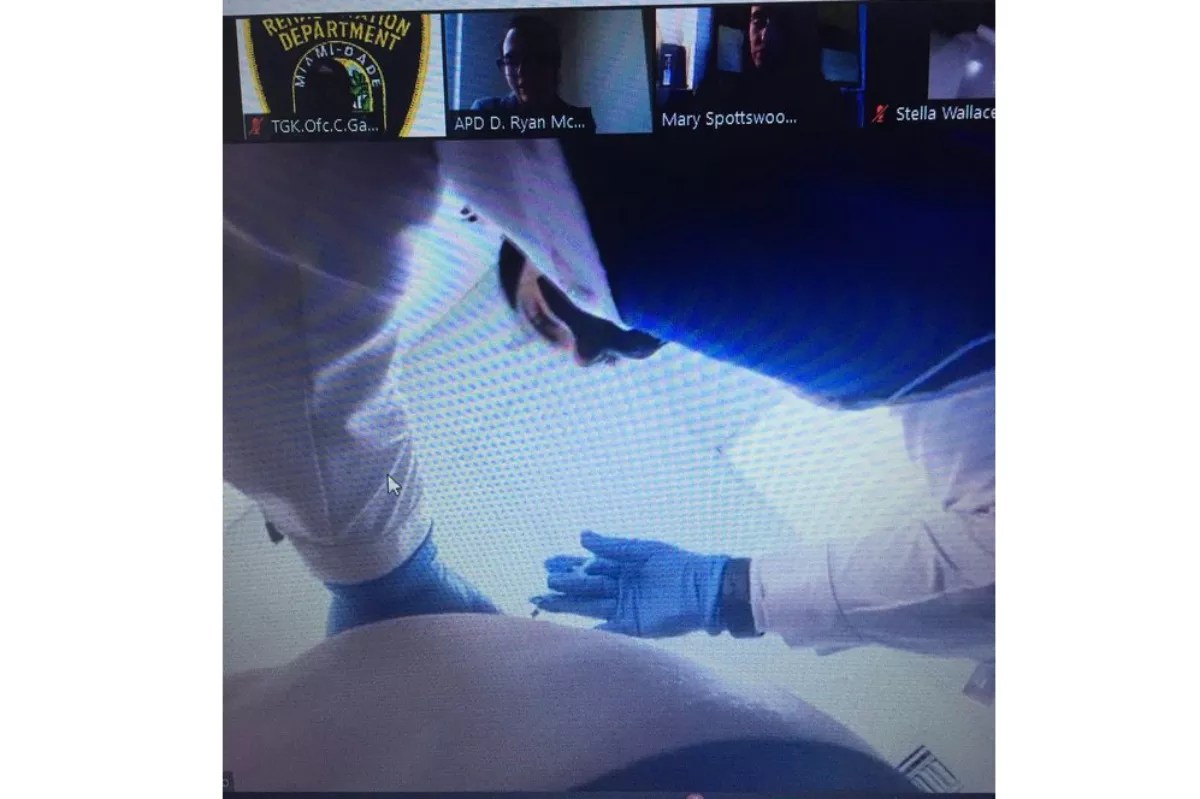 Pet Pigs, Shirtless Lawyers, and Butt-Injecting Nurses — Miami Zoom Court Never Disappoints