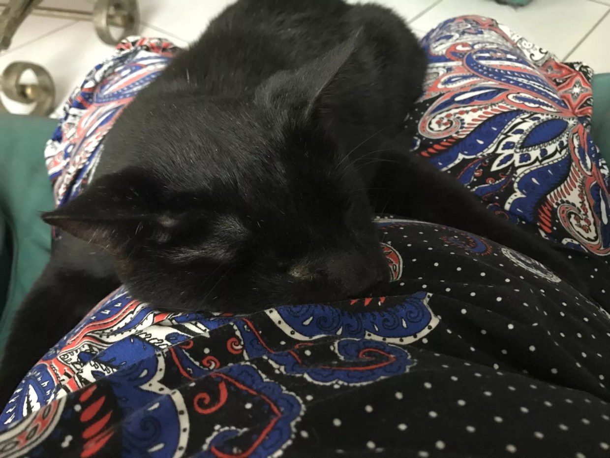 The Case of the Fatal Flea Bath