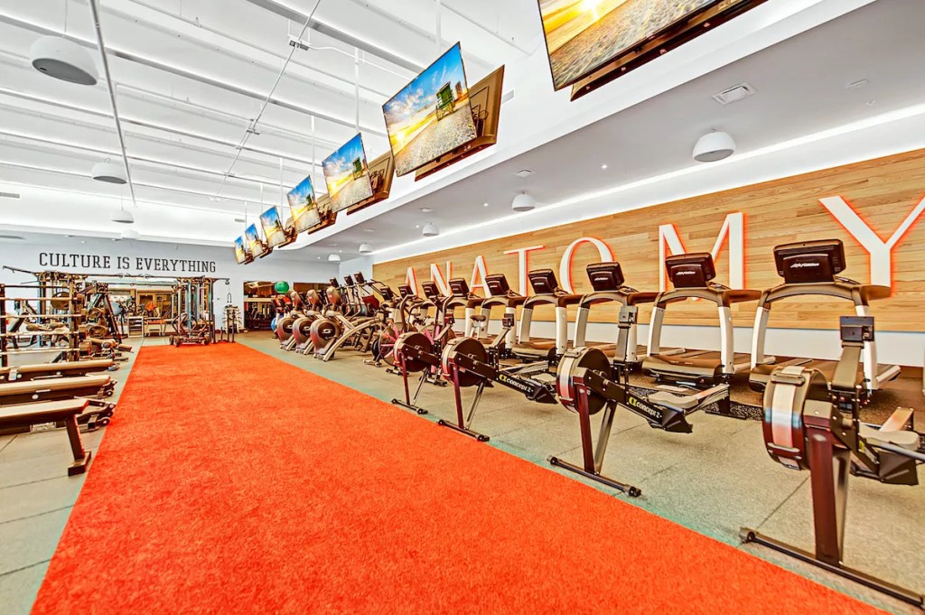 Gym equipment lined up alongside a long, orange carpet