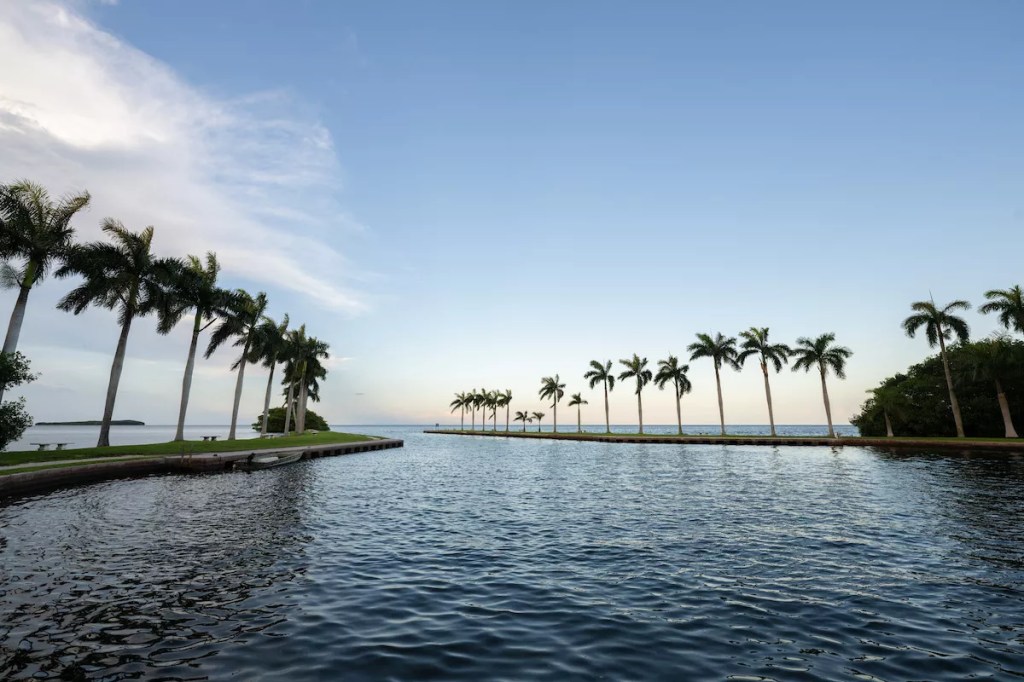 view of a waterfront with palm trees in the distance