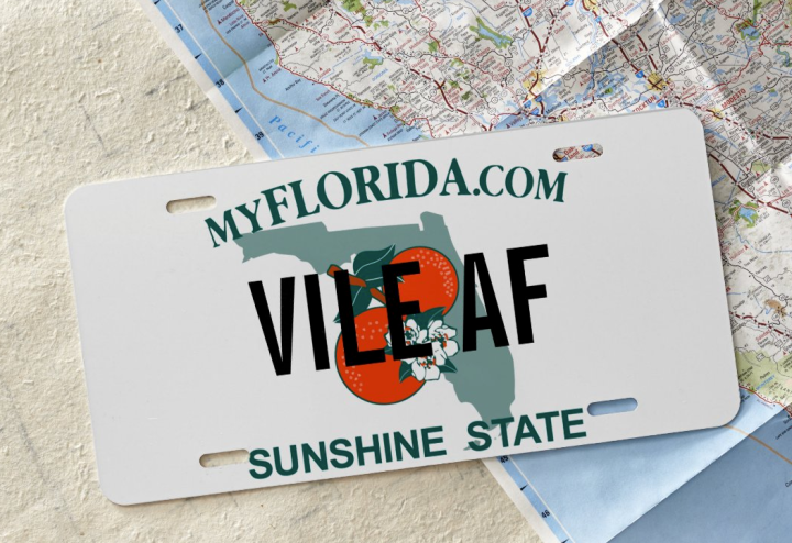 Customized Florida license plate that reads, "VILE AF"