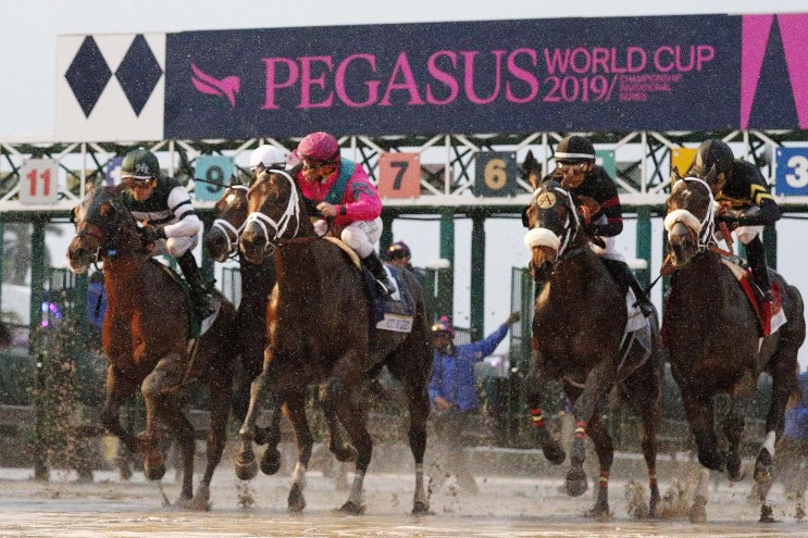 Horses racing on the track at the Pegasus World Cup