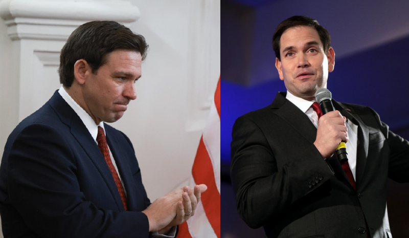 Side by side photos of Ron DeSantis and Marco Rubio