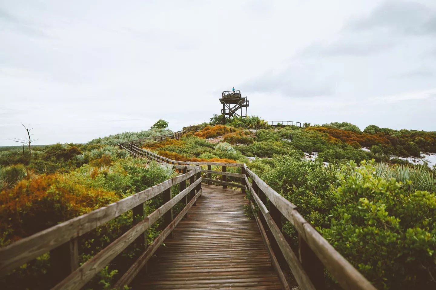 wooden boardwalk amid scrub brush leading to a wooden observation tower