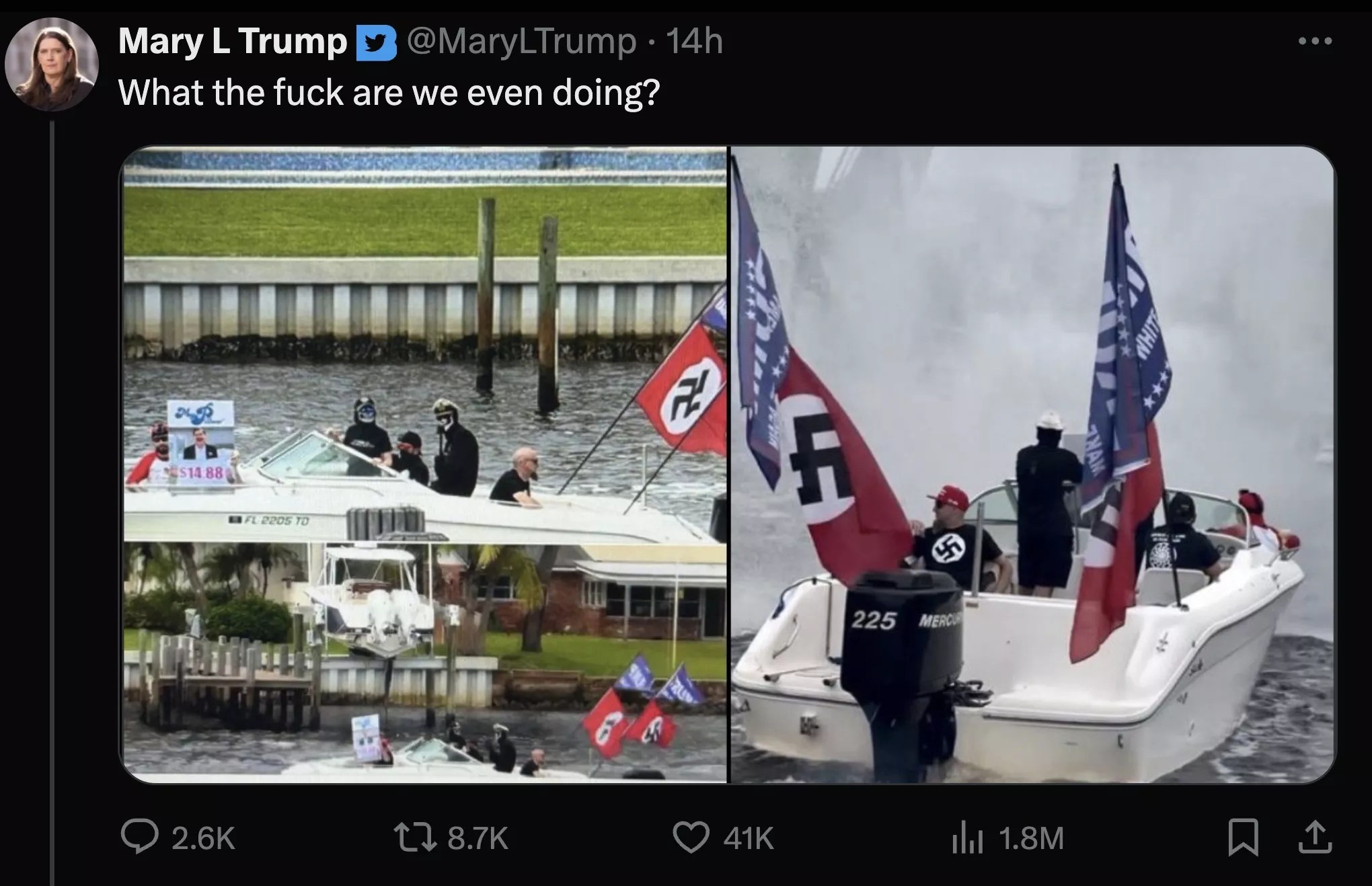 "What the fuck are we even doing?" Mary Trump, Trump's estranged niece and a vocal critic of the former president, wrote on X (formerly known as Twitter) alongside photos of the boat with swastika flags.