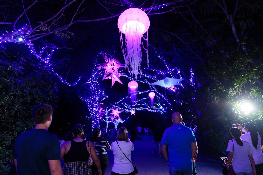 photo of people looking up an an illuminated jellyfish sculpture in a tree in the dark