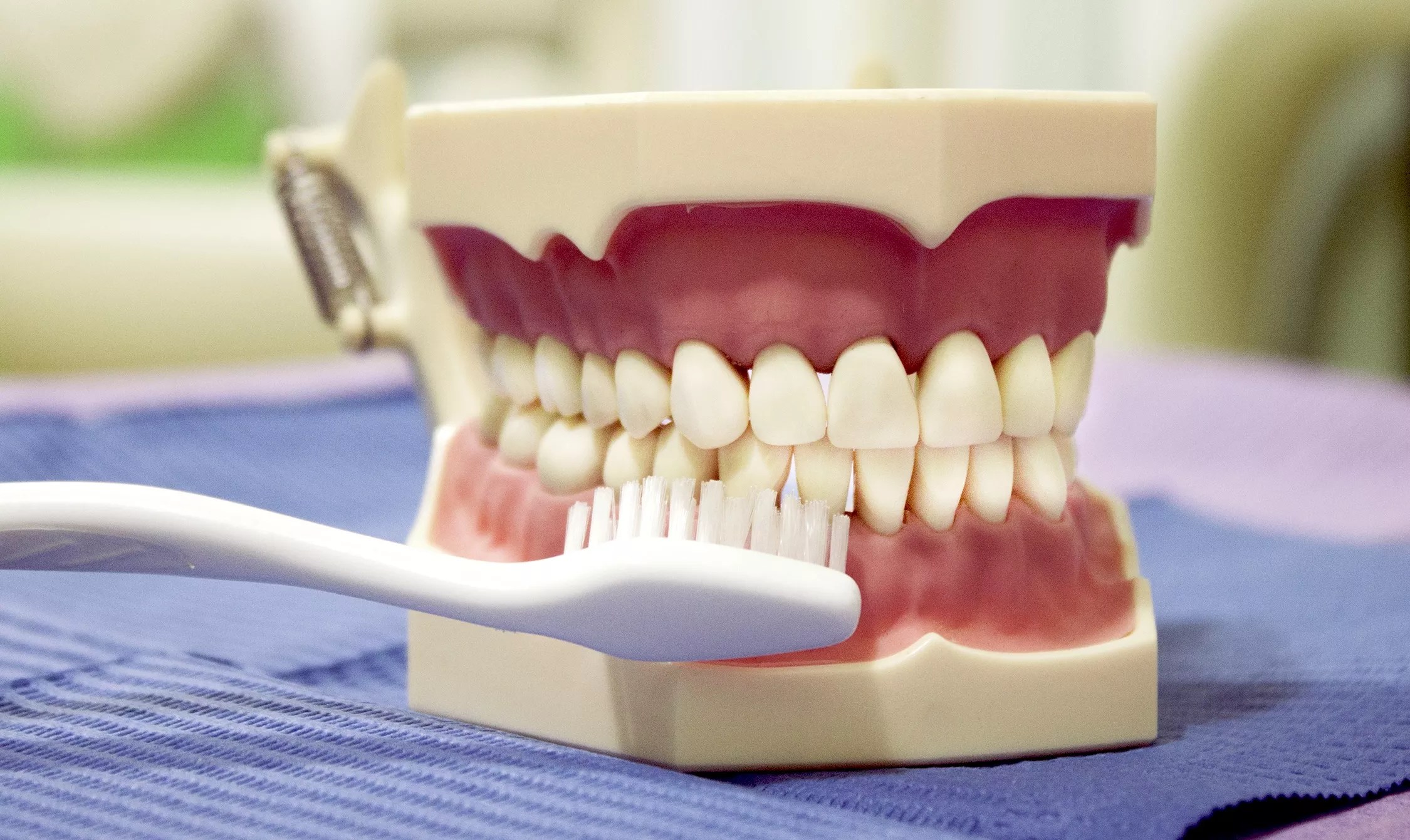 Brushing the teeth on a dental model